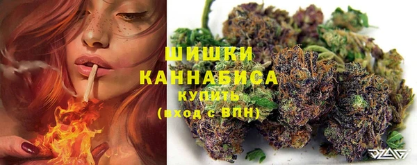 стафф Верея