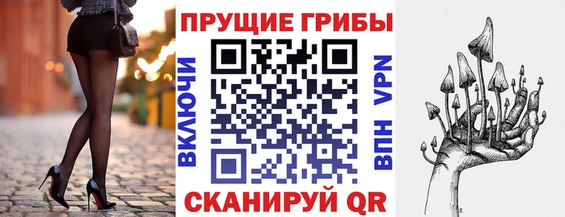 Галлюциногенные грибы Cubensis  Купить  Княгинино 